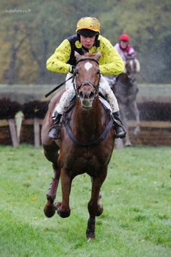 Posledn� dostih sezony - de�tivo, sn�hov�...